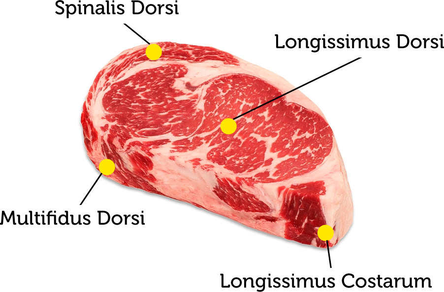 ribeye.jpg